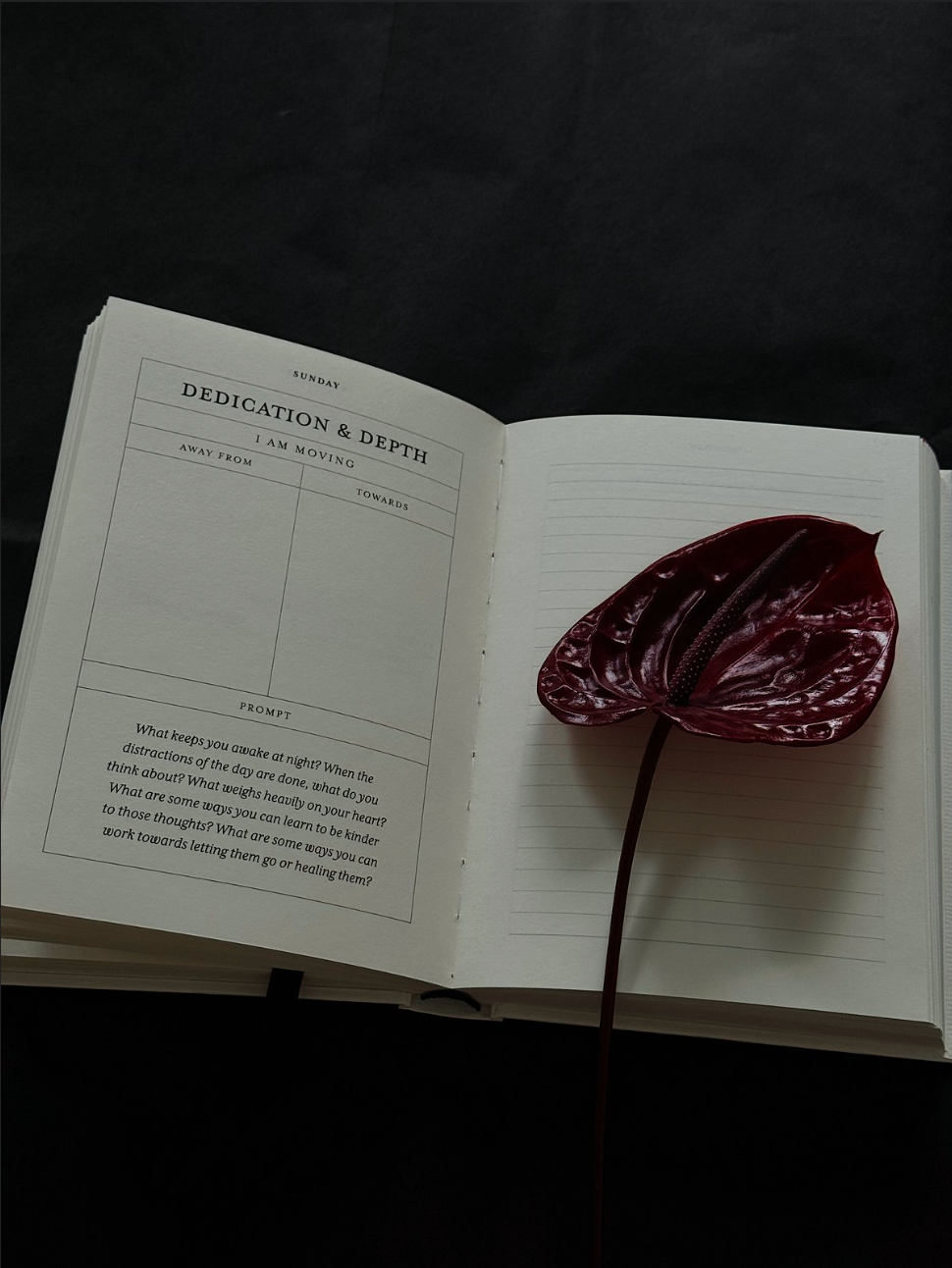 The Becoming Journal